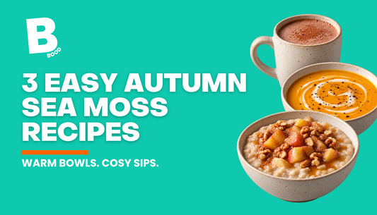 BOOD autumn sea moss recipes banner featuring apple and cinnamon porridge, butternut squash soup and hot chocolate.