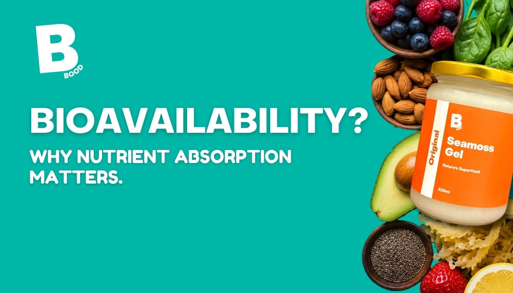 What Is Bioavailability?