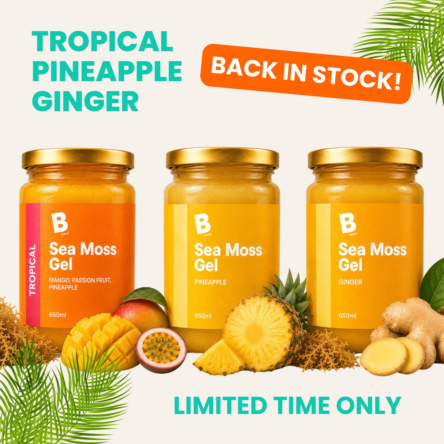 Limited Edition Flavoured Sea Moss Gel