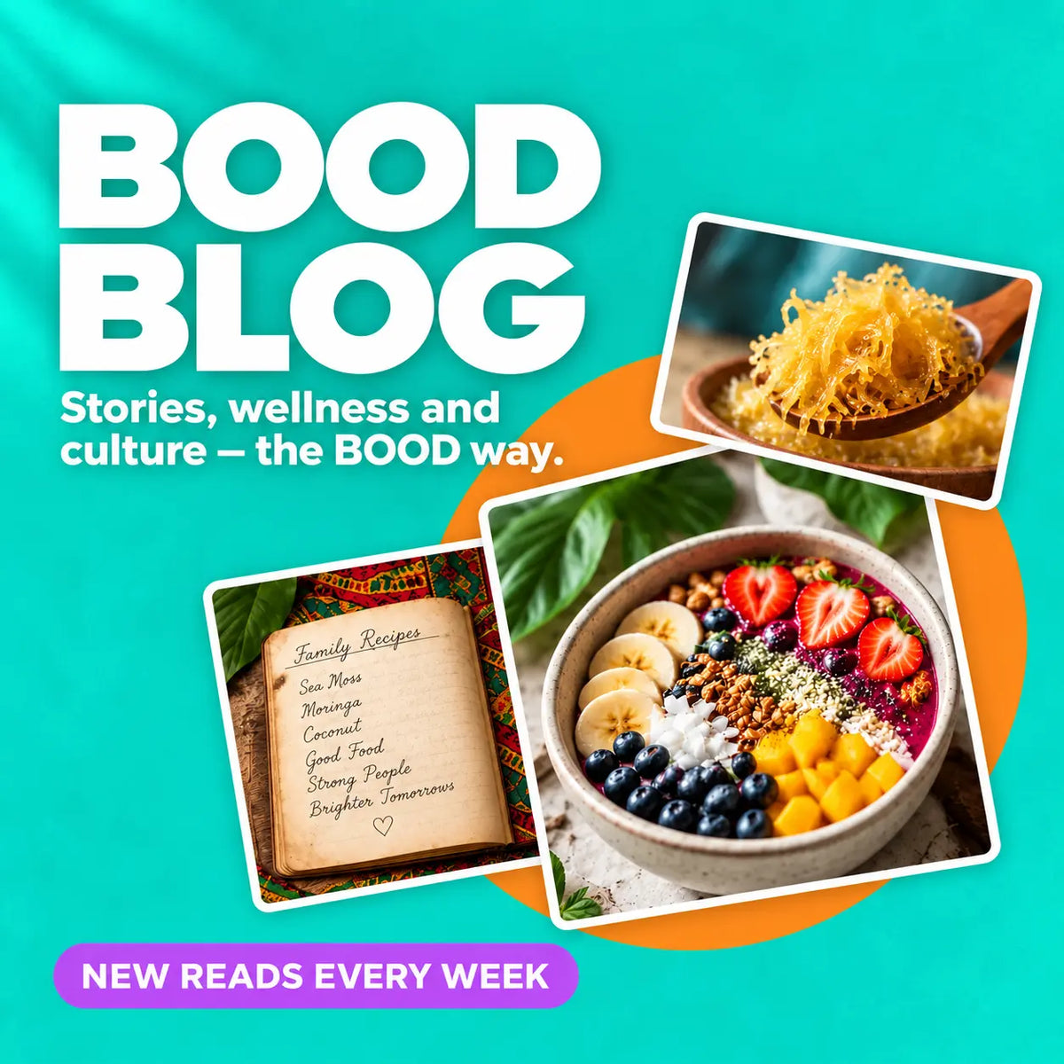 BOOD Blog banner featuring sea moss, plant-based food and a family recipe book.