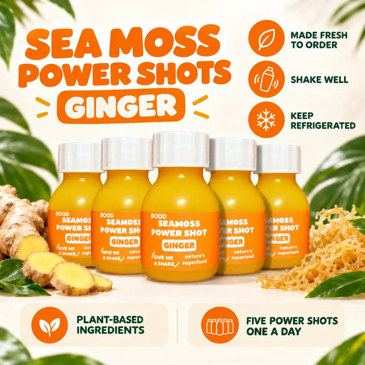 BOOD Ginger Sea Moss Gel Power Shots made with premium sea moss from Saint Lucia and fresh ginger