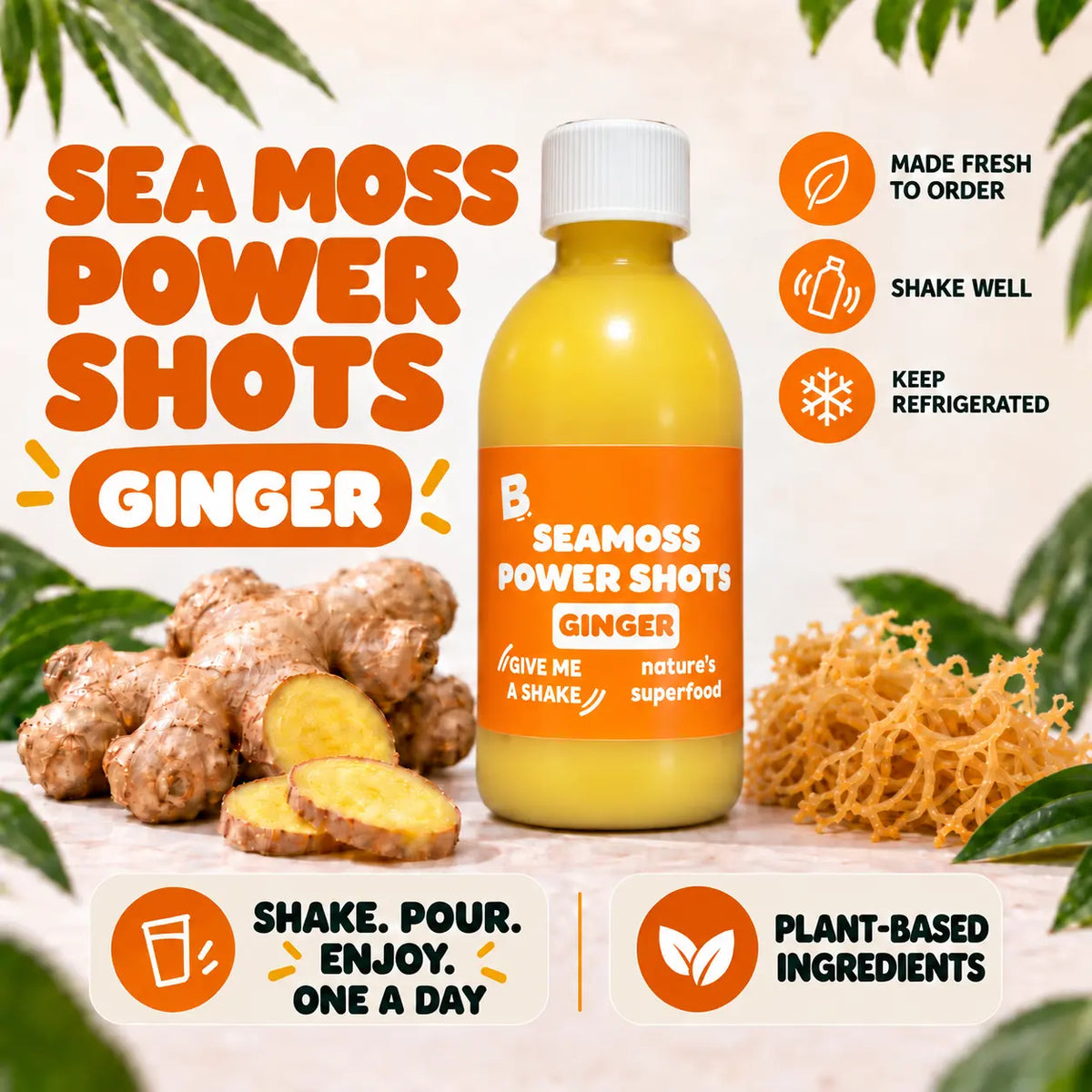 BOOD Ginger Sea Moss Power Shots large bottle with fresh ginger and sea moss